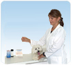 Veterinary Diagnostic